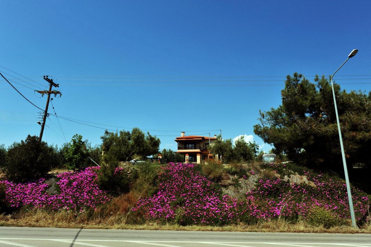 Captain'S Villa Appartments Psakoudia Bagian luar foto